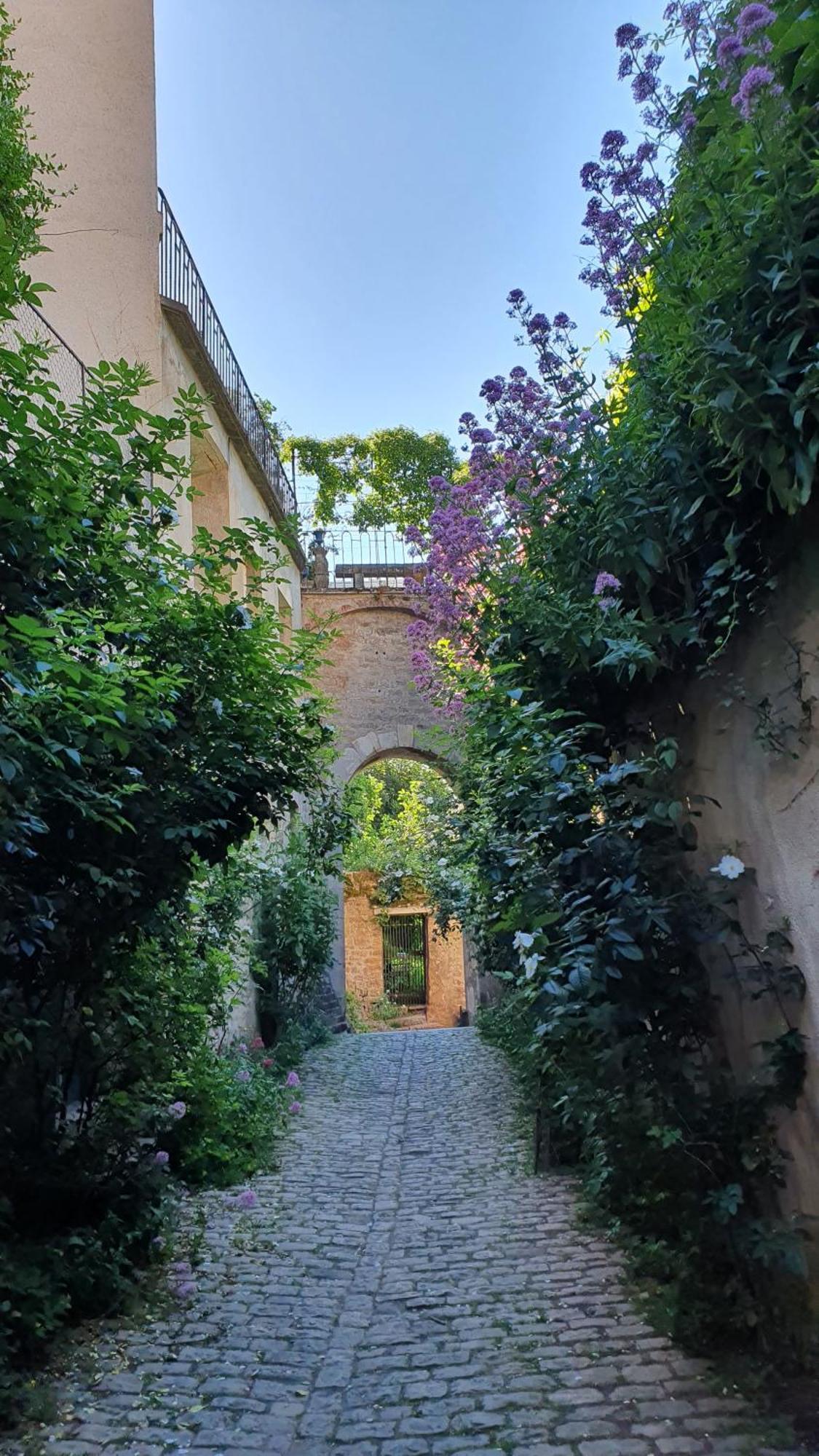 Etape Du Pont Pinard Vila Semur-en-Auxois Exterior foto